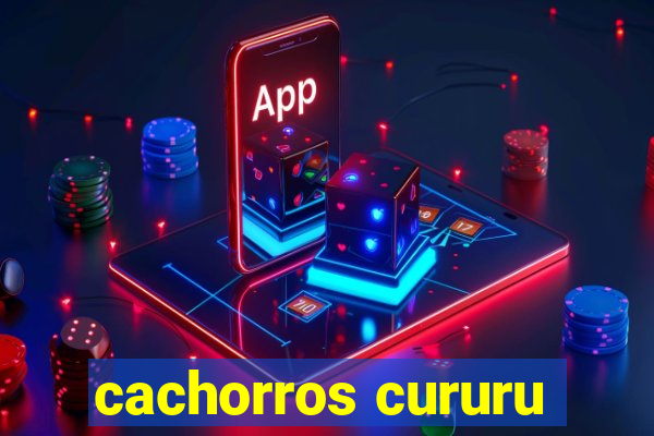 cachorros cururu